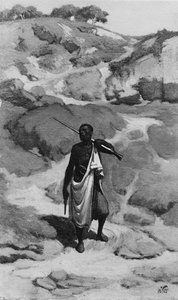 The African Sentinel — Elihu Vedder