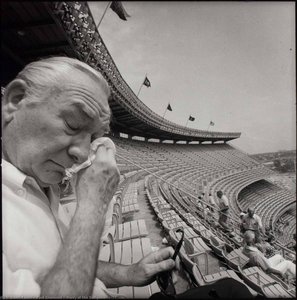 Harry At The Ballgame, Nyc — Paul Diamond