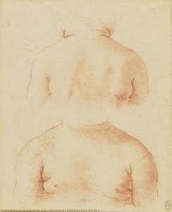 El Busto De Un Niño Desde El Frente Y La Espalda — Leonardo Da Vinci