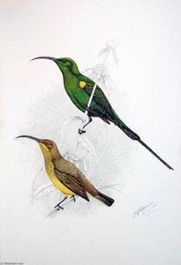 Untitled (AQZDWW)