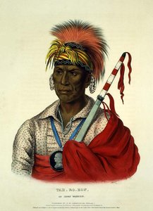 Teh-ro-hon, An Ioway Warrior — Charles Bird King
