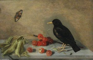 A Blackbird, Butterfly And Cherries