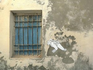 Hindsight — Addam Yekutieli