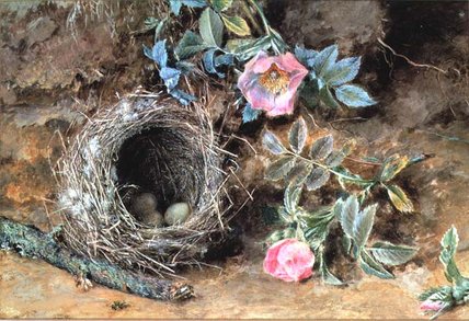Wild Roses And Birds' Nests — William Henry Hunt