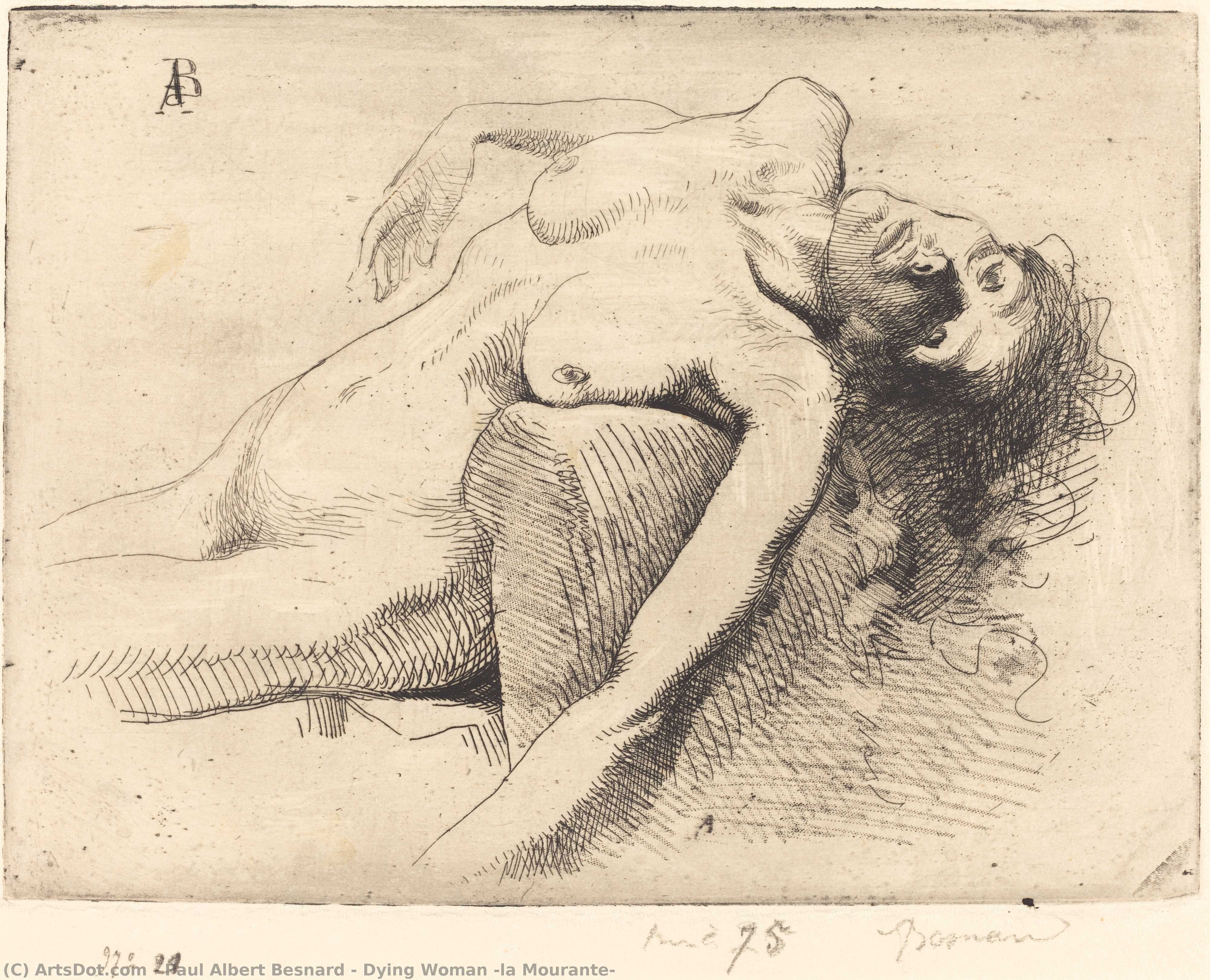 Dying Woman (la Mourante) — Paul Albert Besnard