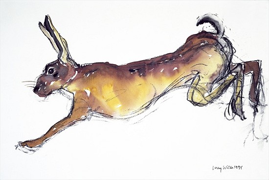 Jumping Hare — Lucy Willis