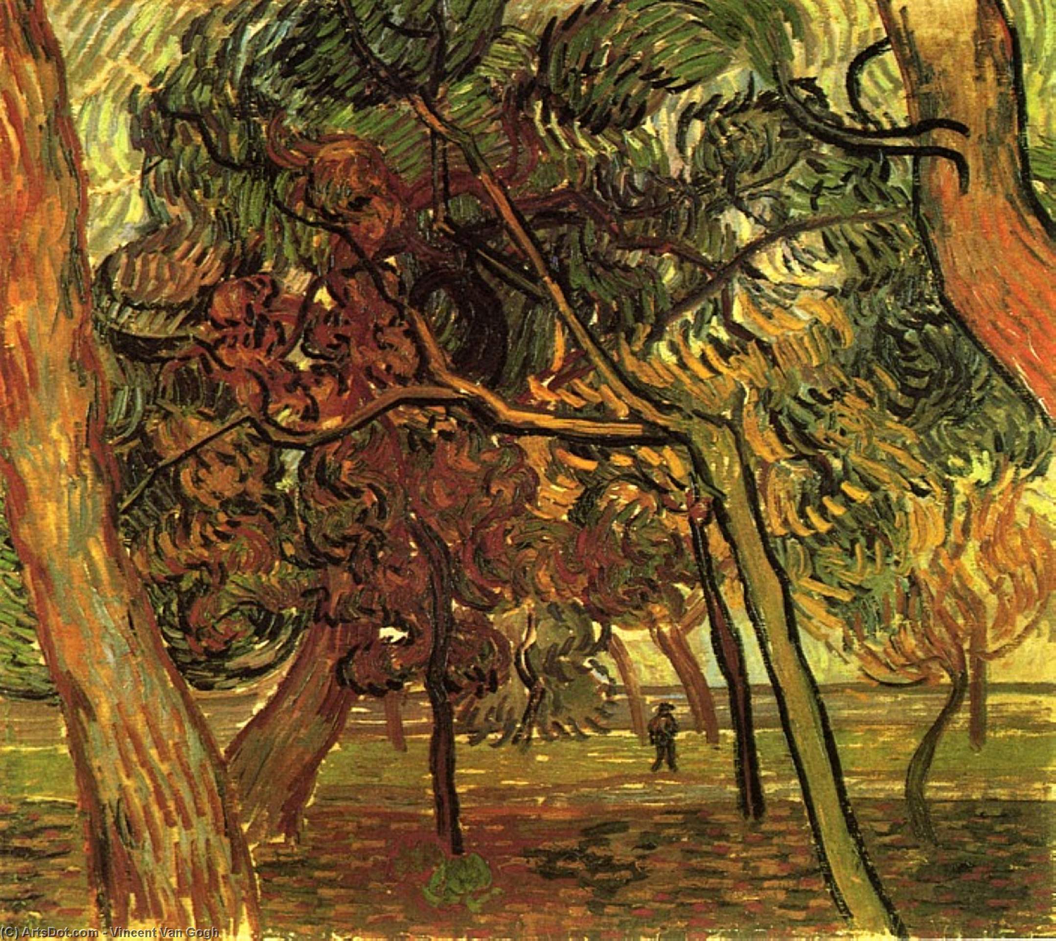 Study Of Pine Trees — Vincent Willem Van Gogh