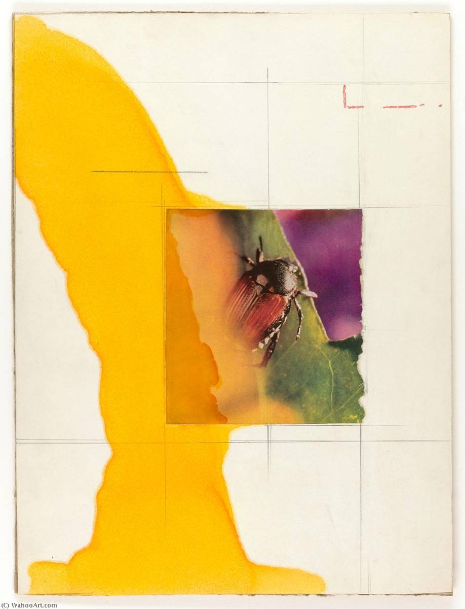 Untitled (red And Black Beetle On Green Leaf) — Joseph Cornell