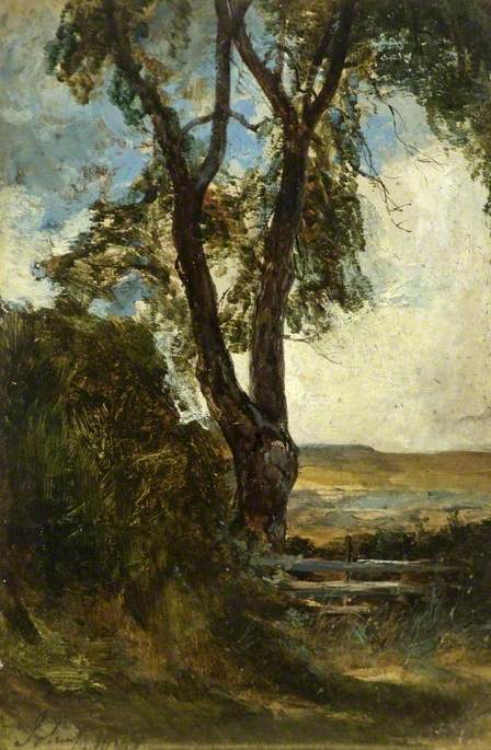 Sunshine And Shadow — John Crawford Wintour