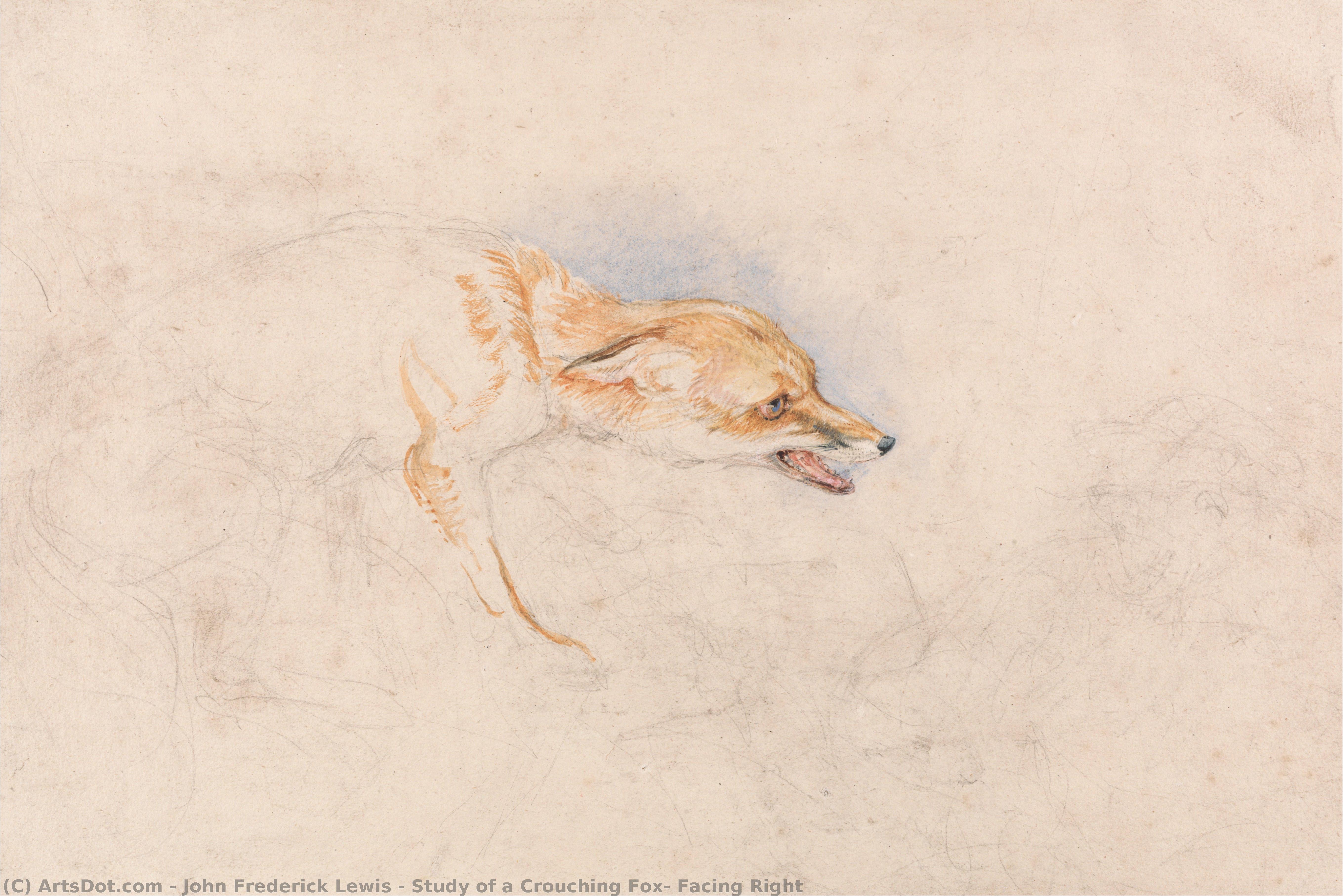 Study Of A Crouching Fox, Facing Right — John Frederick Lewis