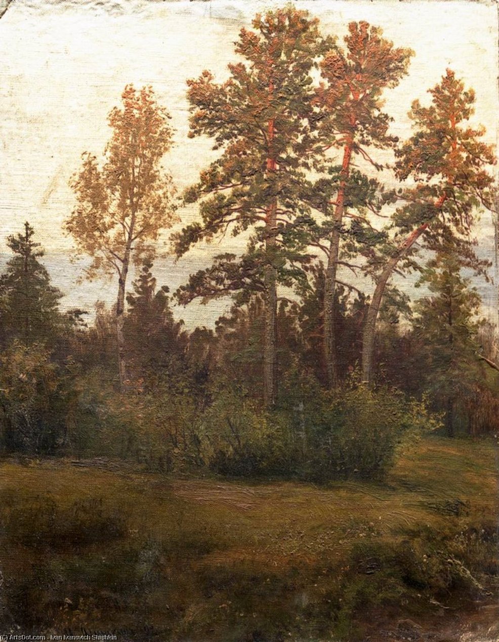 Edge Of The Forest — Ivan Ivanovich Shishkin