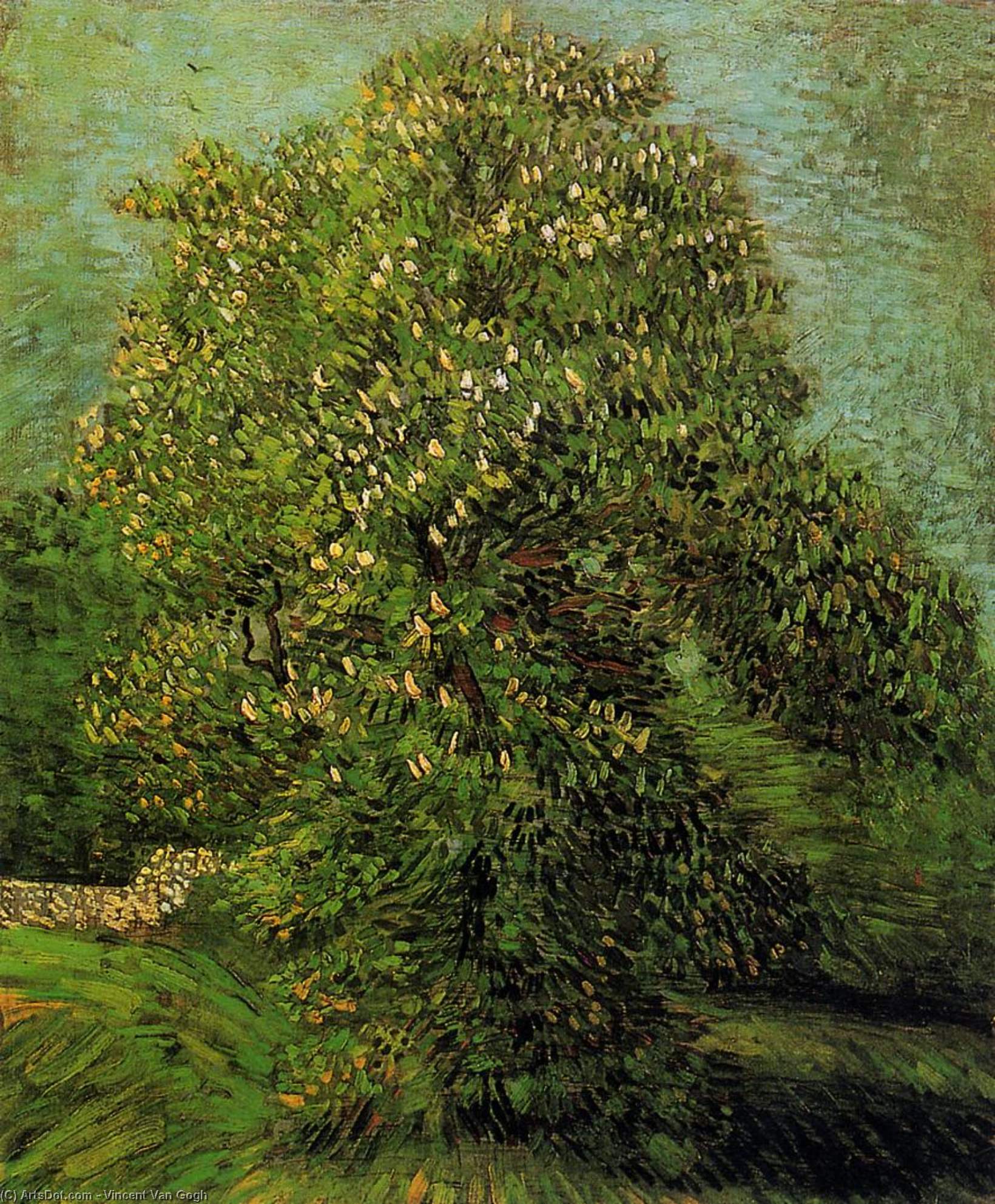 Chestnut Tree In Bloom — Vincent Willem Van Gogh