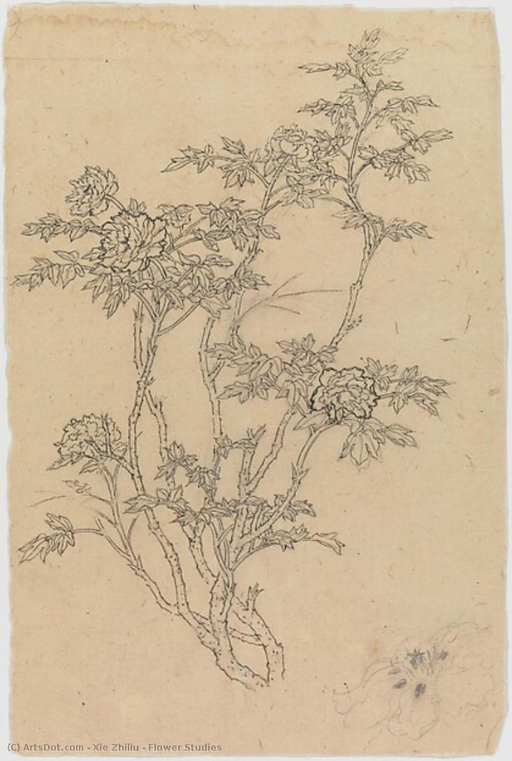 Flower Studies — Xie Zhiliu