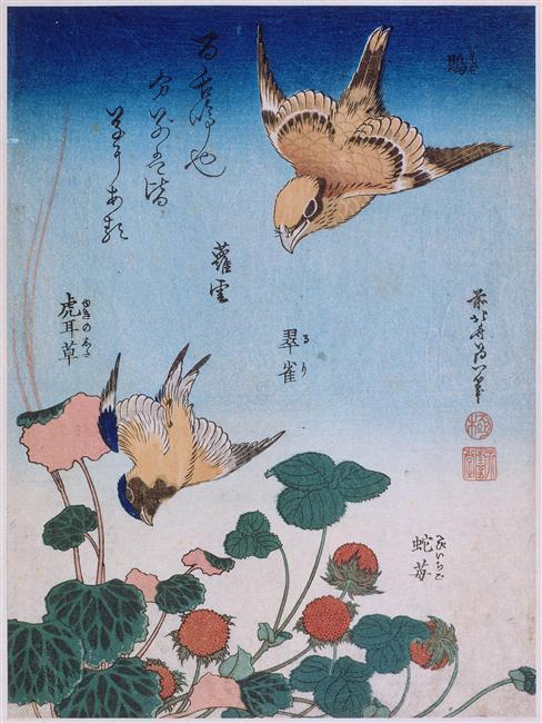 Swallow And Begonia And Strawberry Pie — Katsushika Hokusai