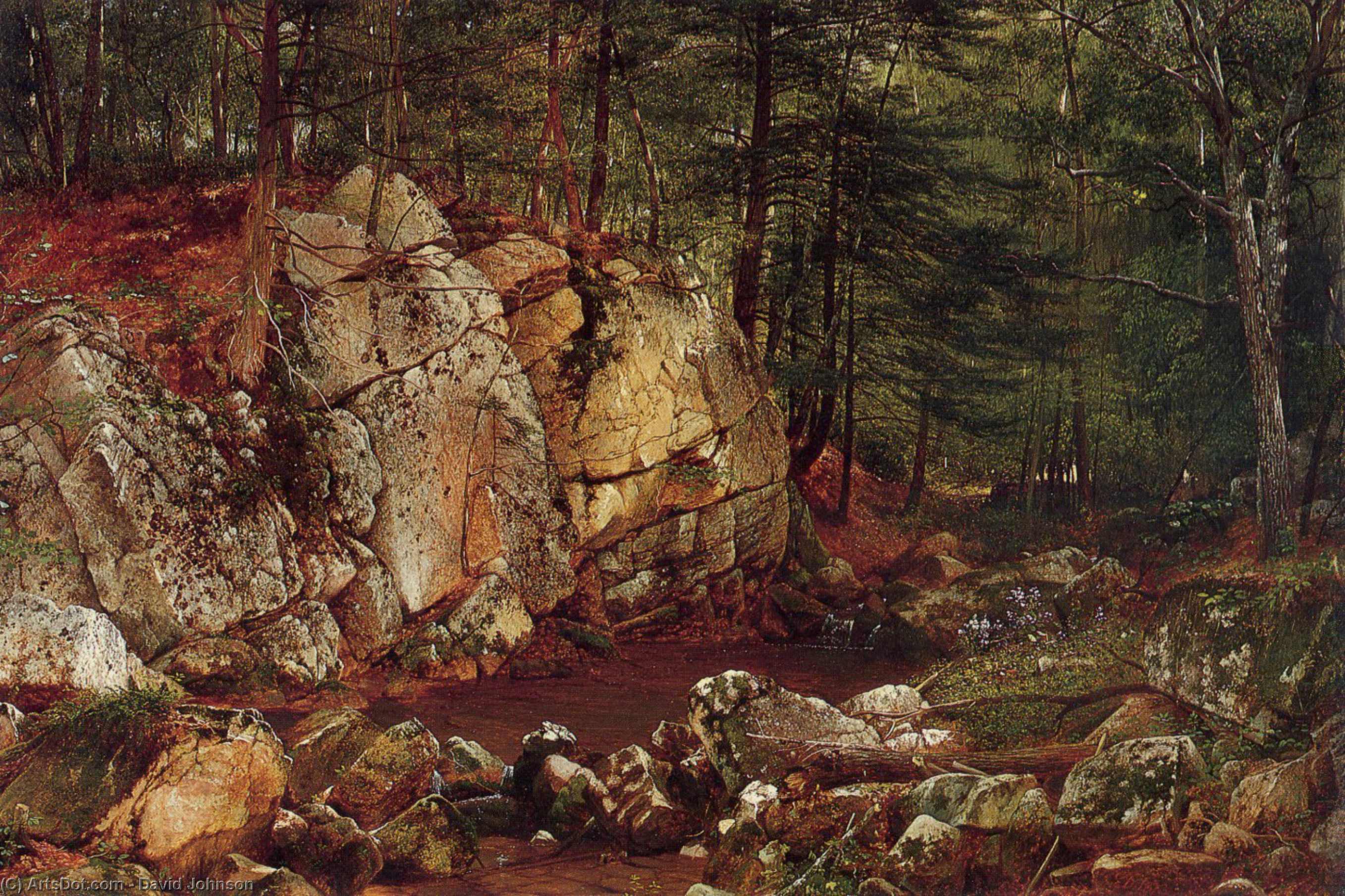 Brook Study At Warwick — David Johnson