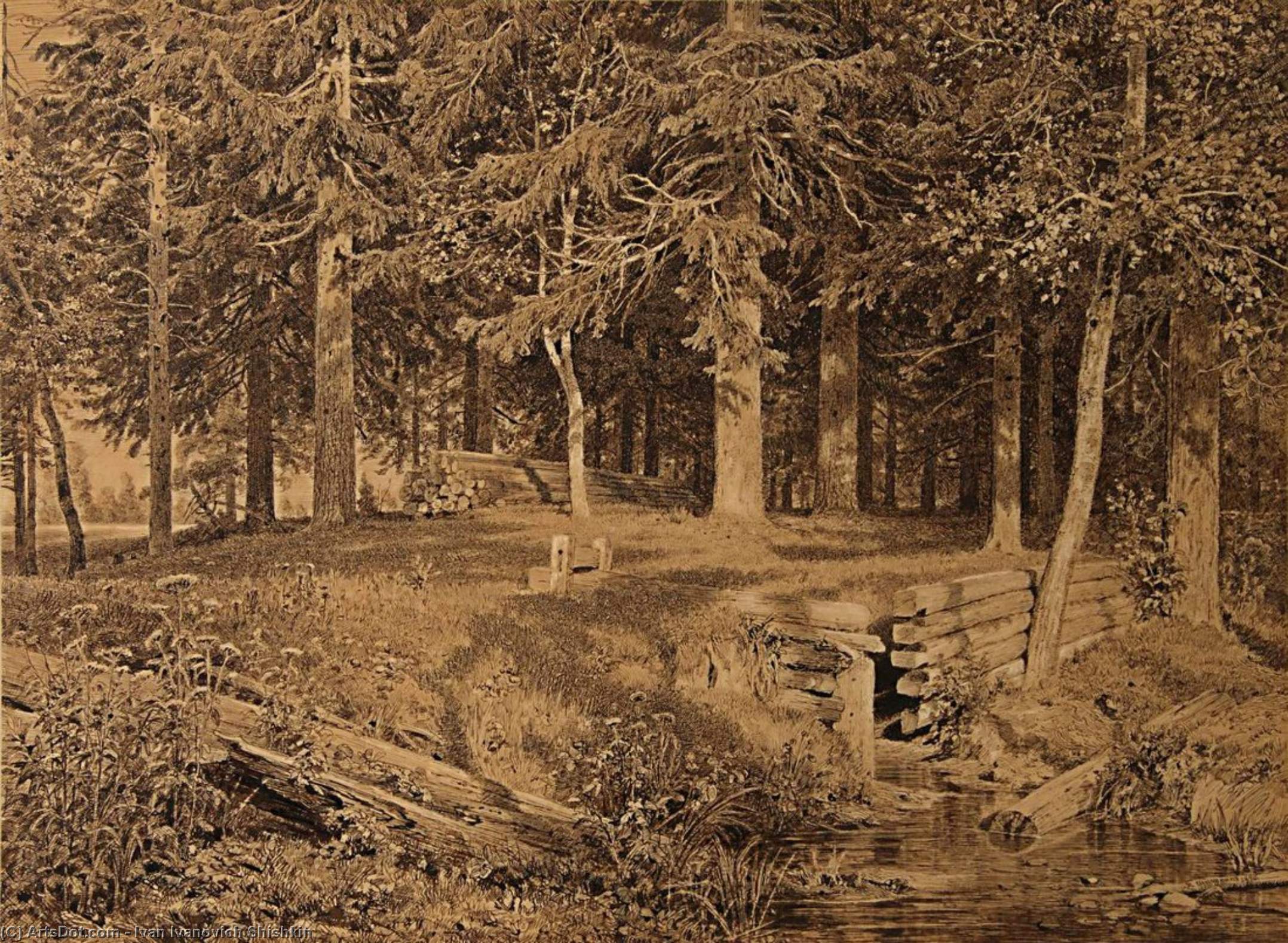 Edge Of The Forest (spruce Forest) — Ivan Ivanovich Shishkin
