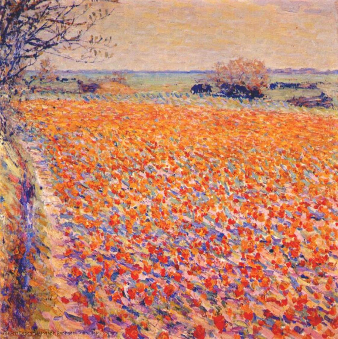 Tulip Field, Holland — Joseph M Raphael