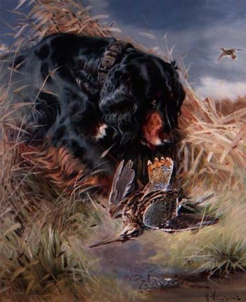 Gordon Setter Among Reeds — William Arnold Woodhouse