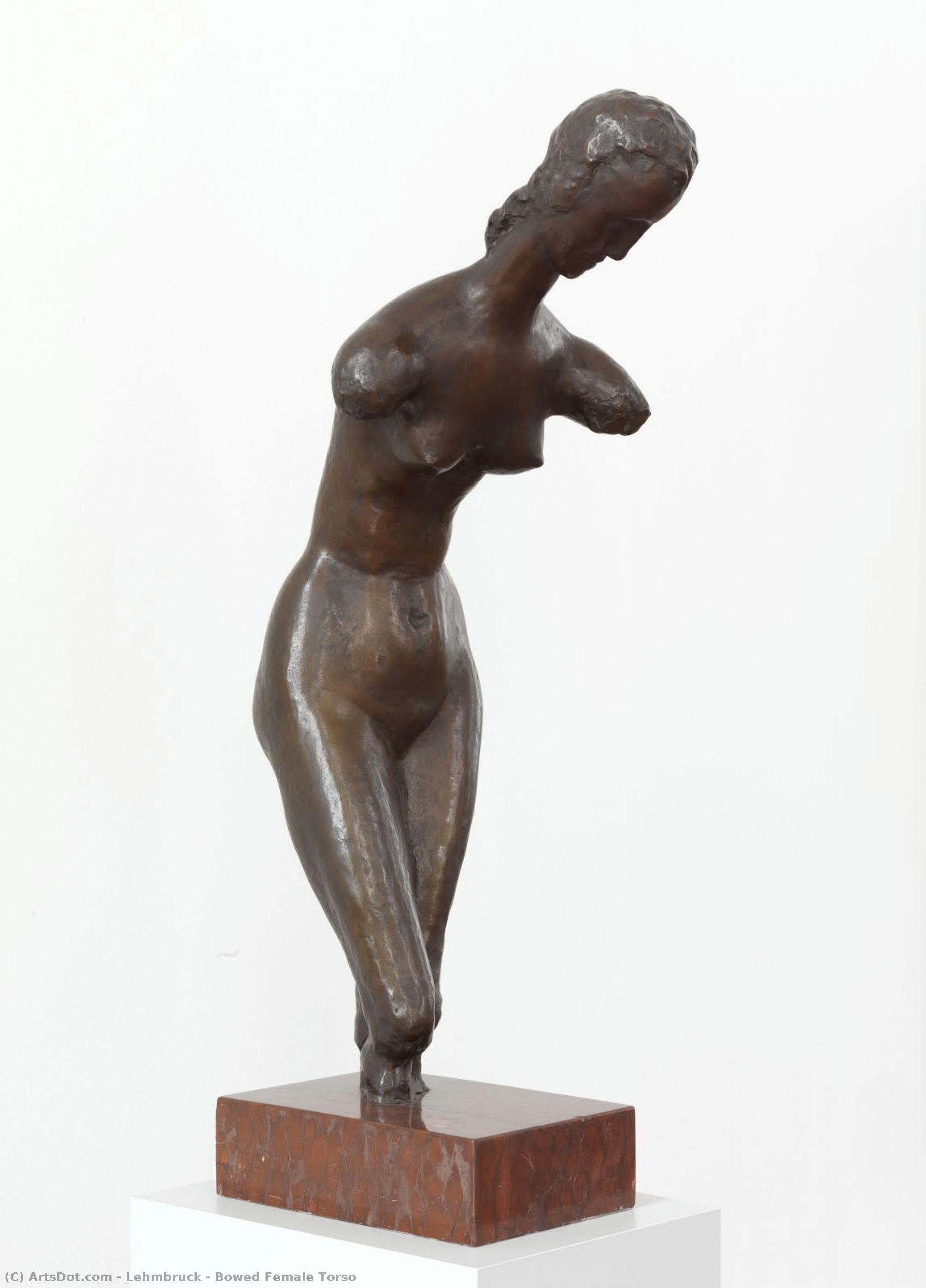 Bowed Female Torso — Wilhelm Lehmbruck