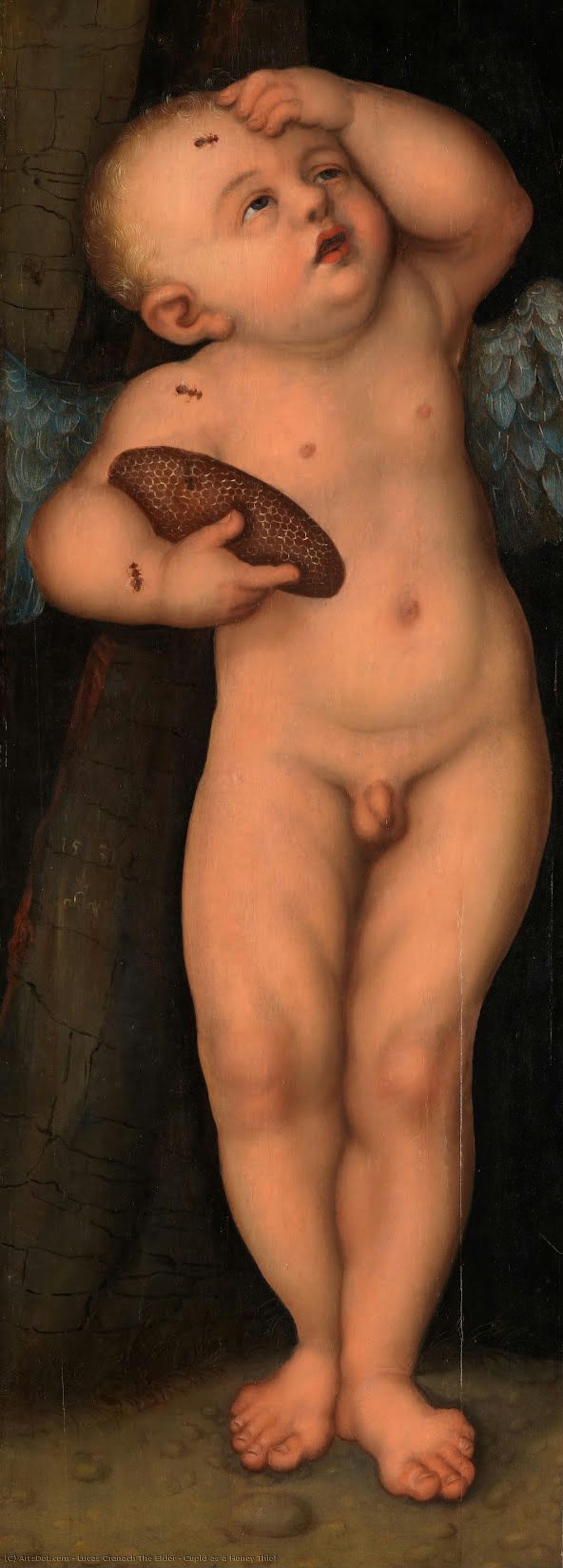 Cupid As A Honey Thief — Lucas Cranach The Elder