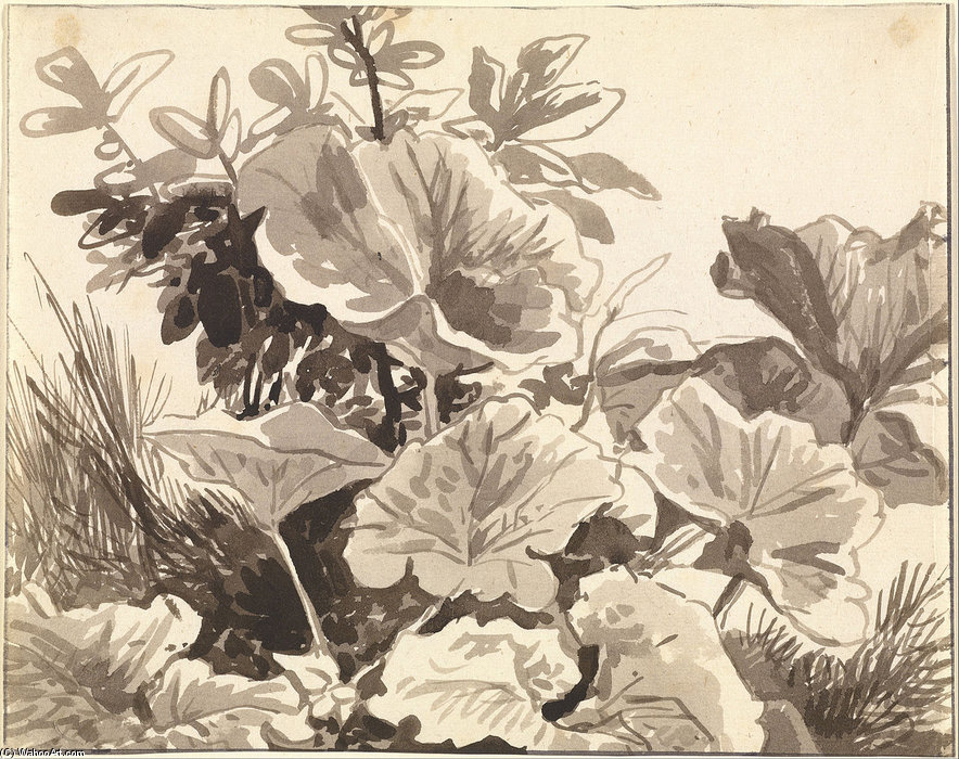 Study Of Coltsfoot Leaves — Franz Kobell