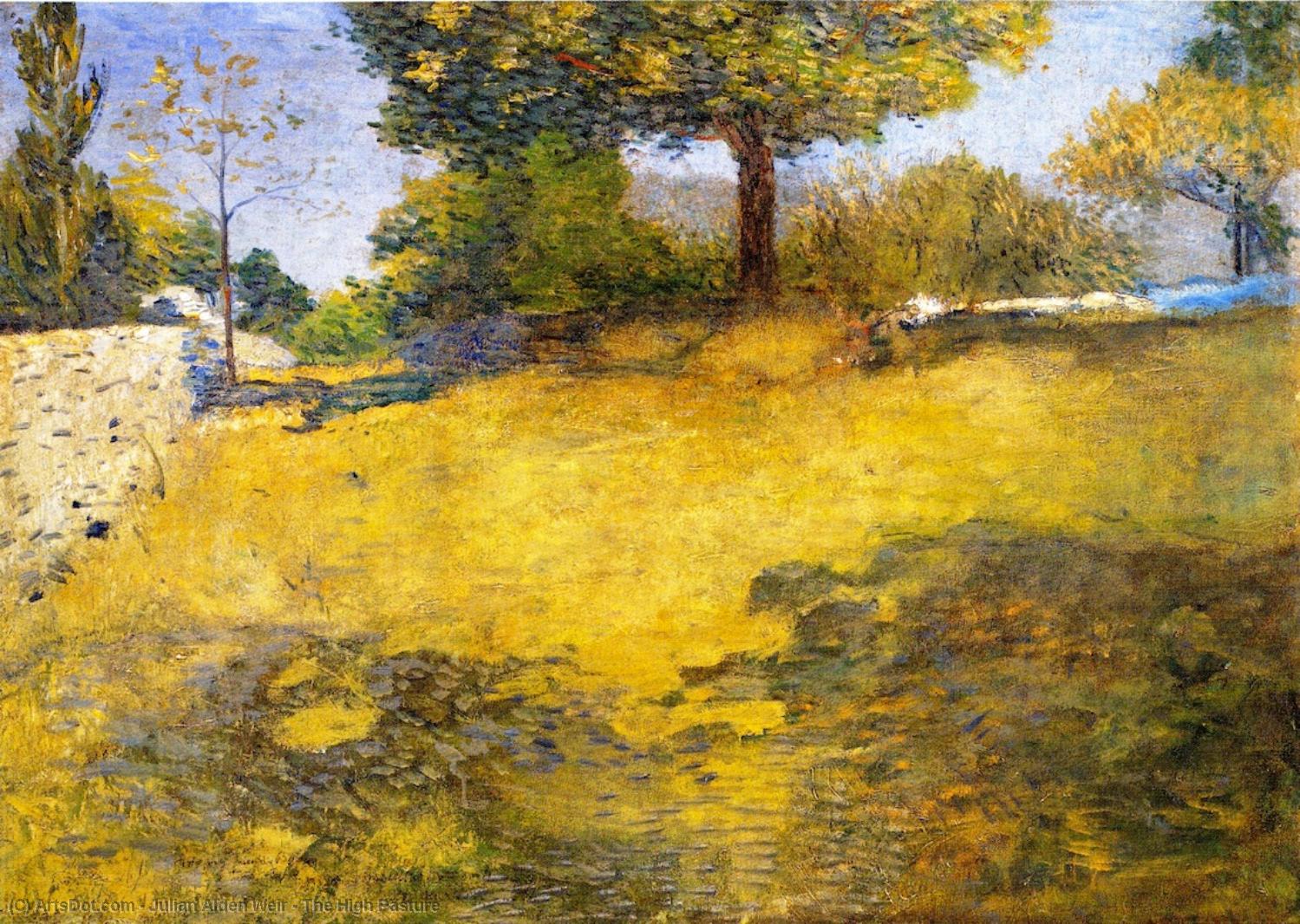 The High Pasture — Julian Alden Weir
