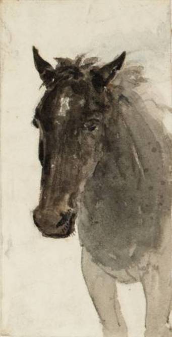 Head And Shoulders Of A Horse — David Cox