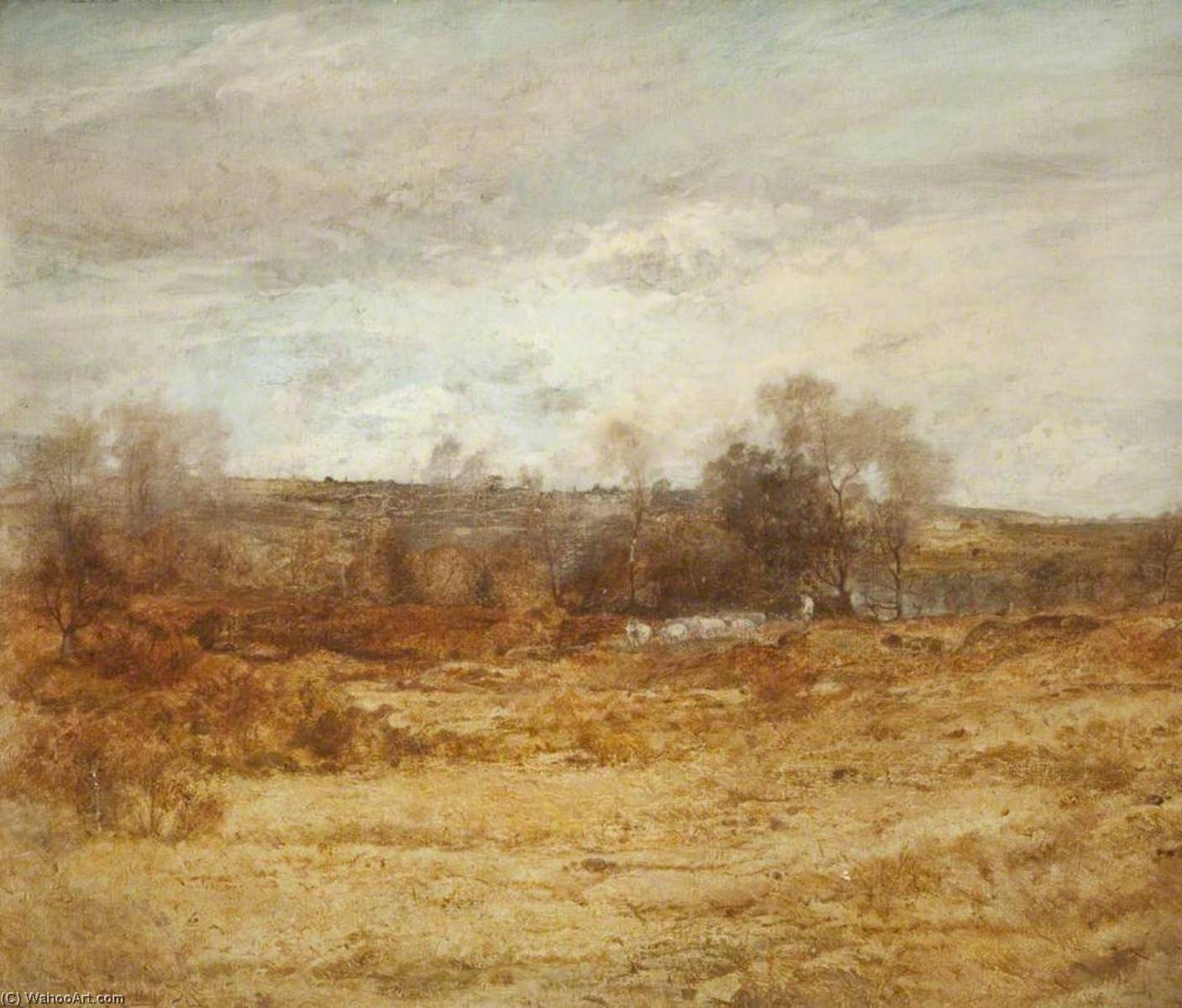 Landscape — Oliver Hall