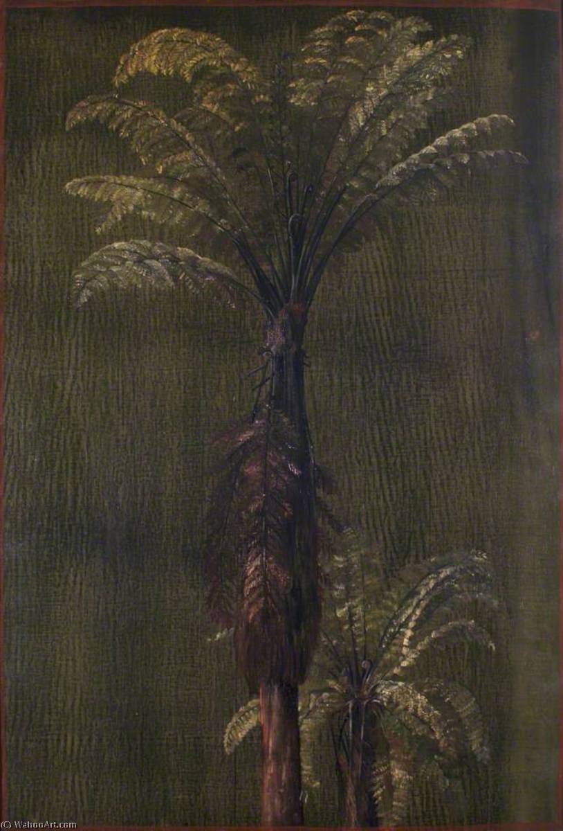 Un Helecho Arborescente De Nueva Zelanda — Marianne North