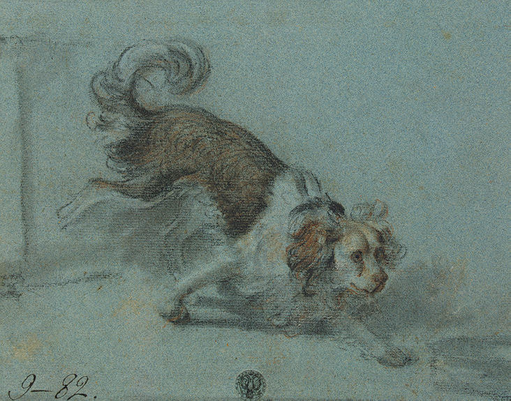 Study Of A Small Dog — Jean-baptiste Greuze