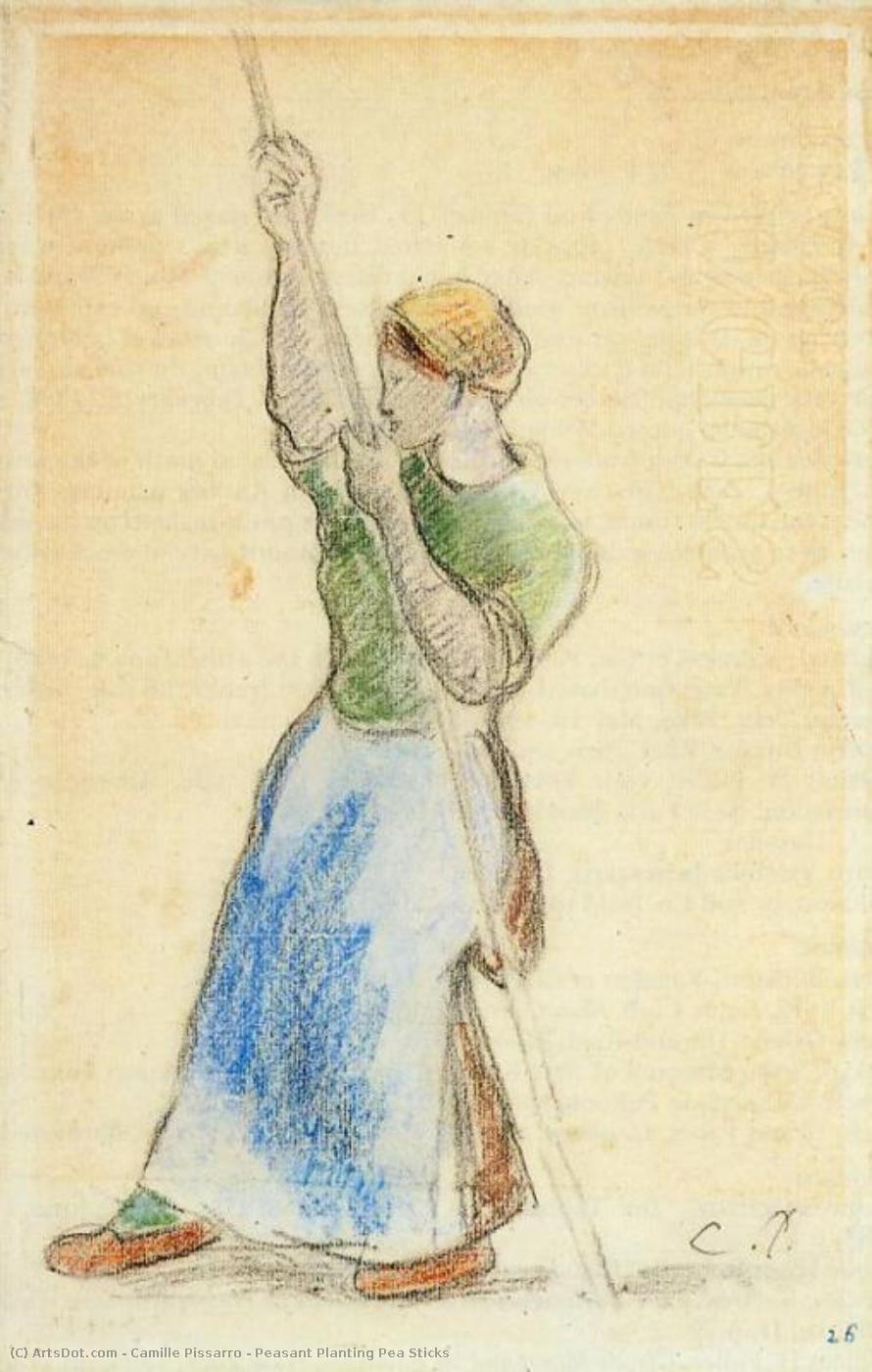 Peasant Planting Pea Sticks — Camille Pissarro