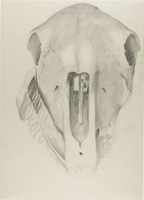 Mule Skull With Turkey Feather — Georgia O'keeffe