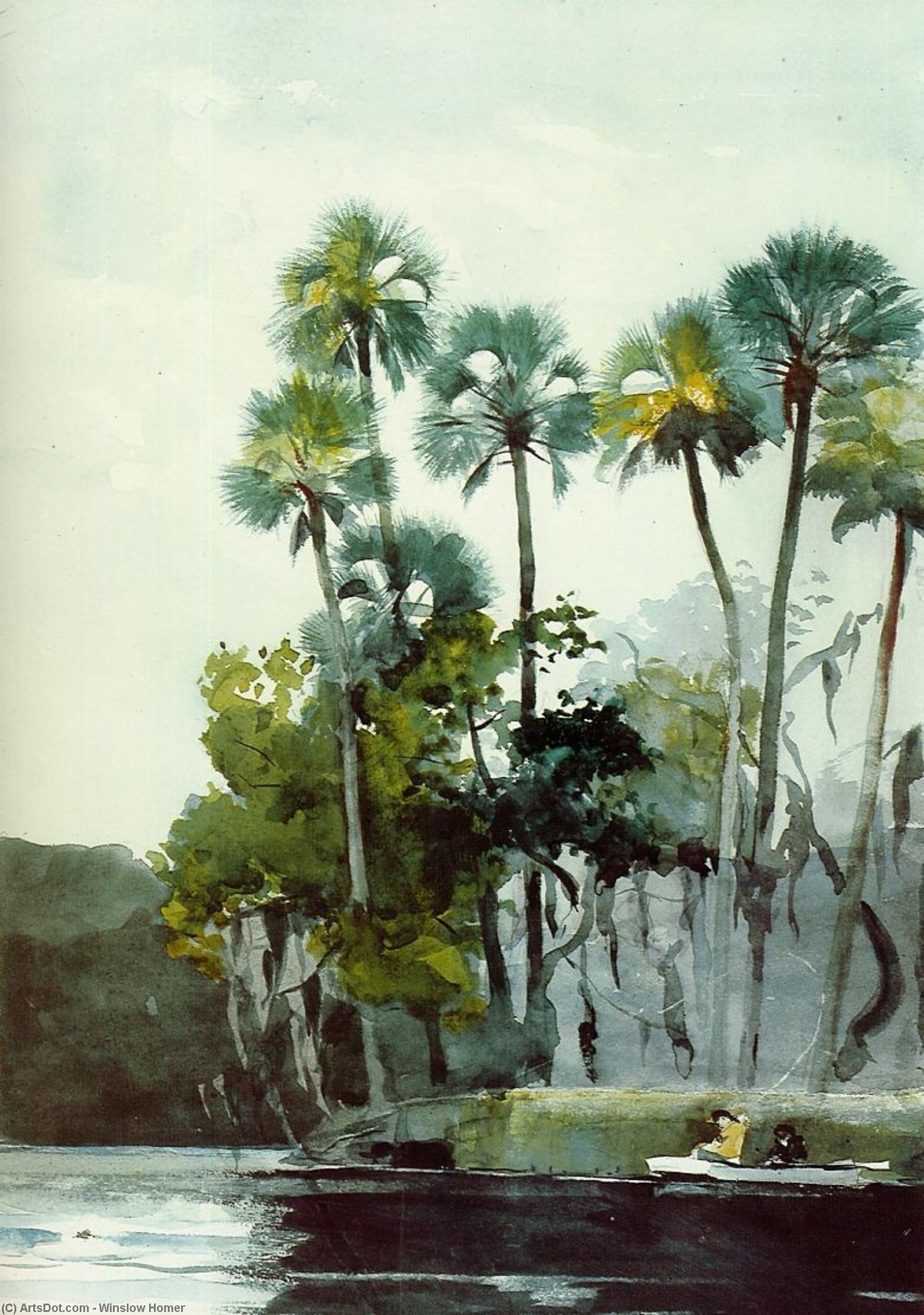 Homosassa River — Winslow Homer