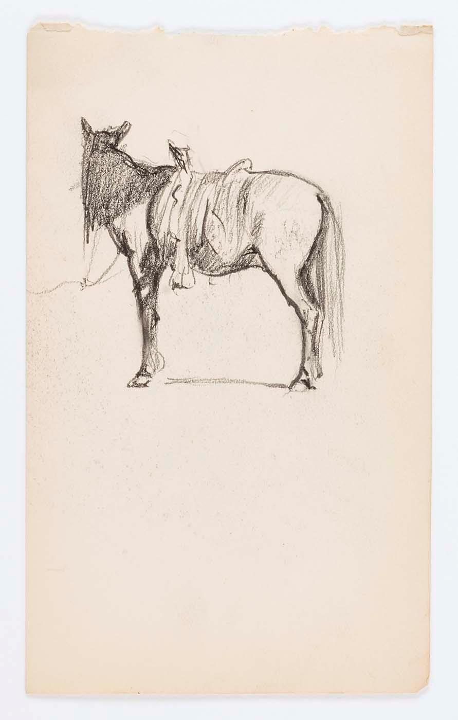 Untitled (horse) — Howard Russell Butler