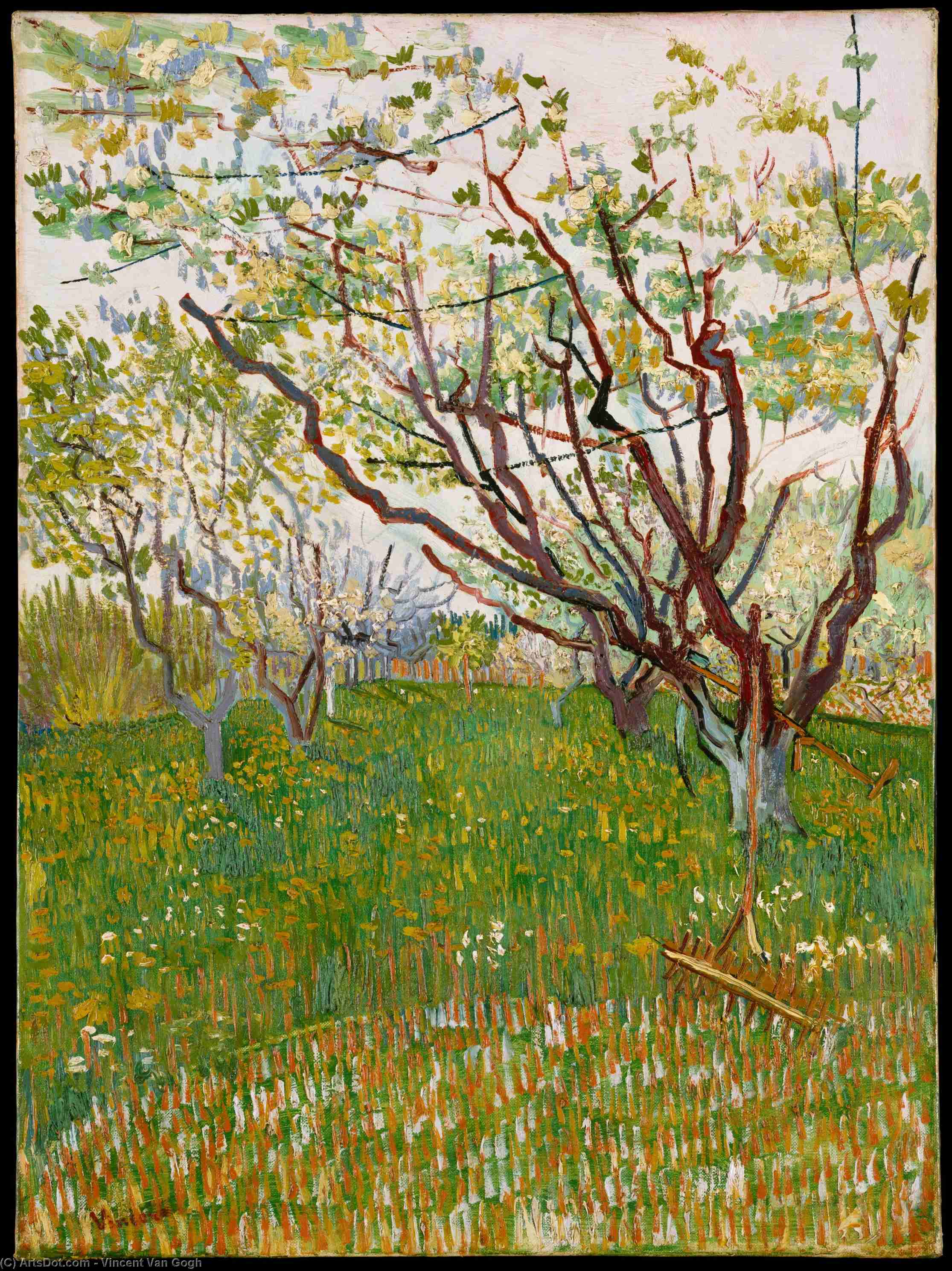 Orchard In Blossom 5 — Vincent Willem Van Gogh