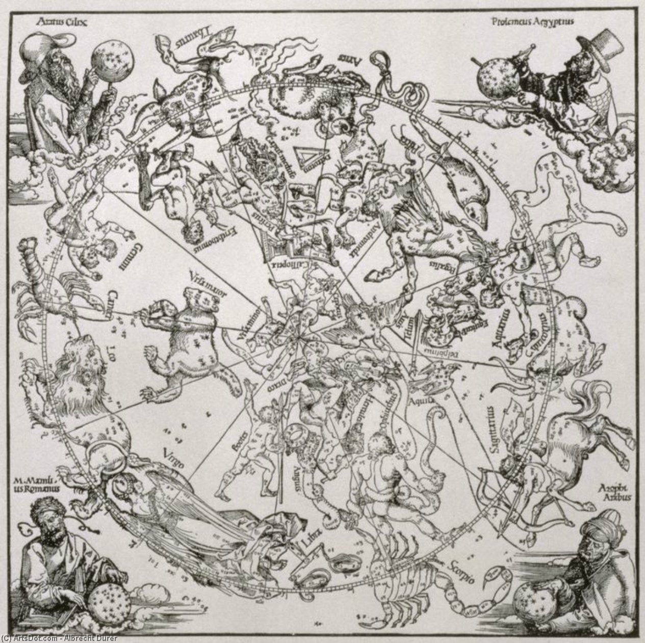 Map Of The Northern Sky — Albrecht Dürer