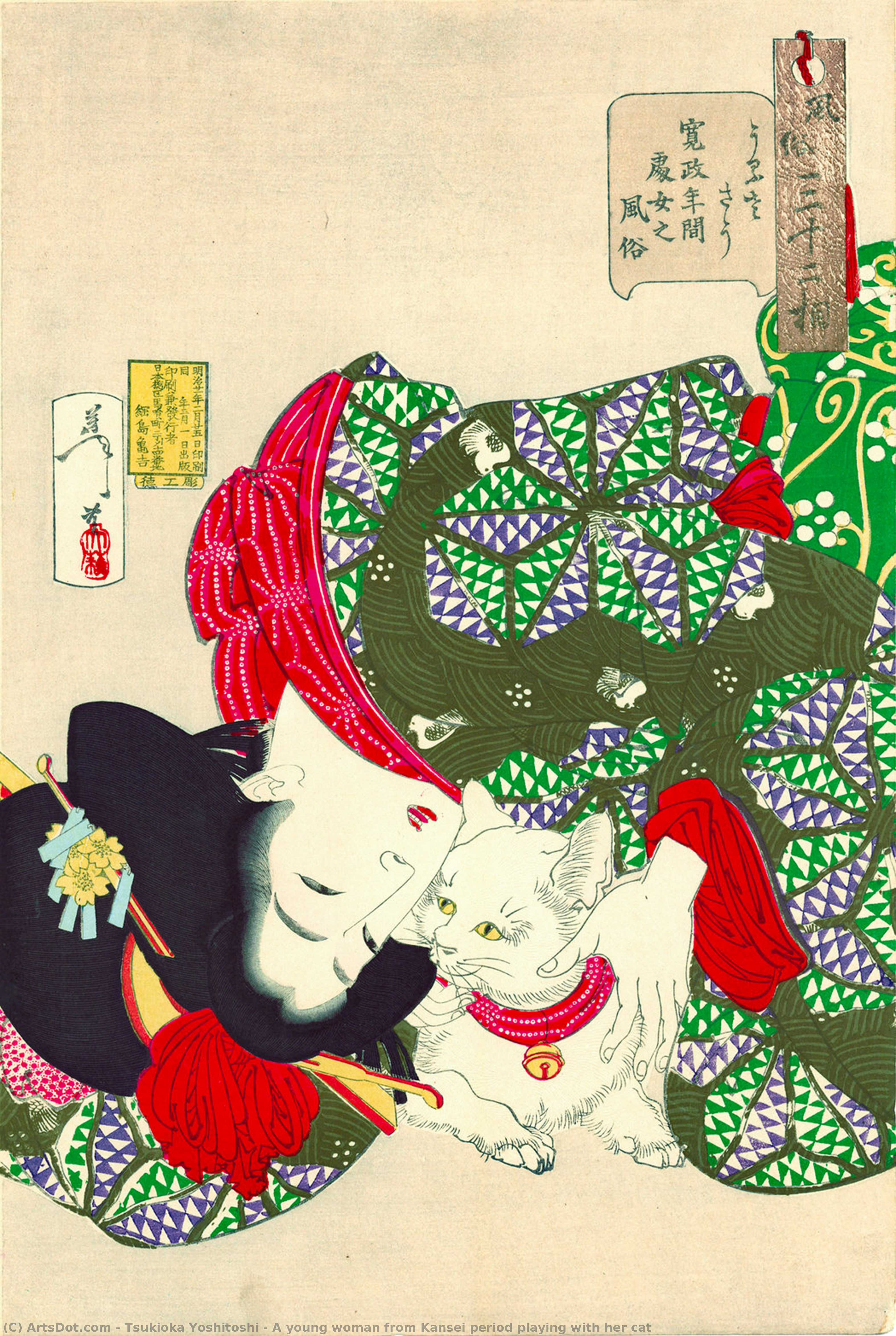 A Young Woman From Kansei Period Playing With Her Cat — Tsukioka Yoshitoshi