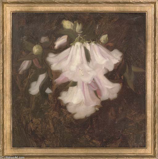 Flower Study — James Stuart Park