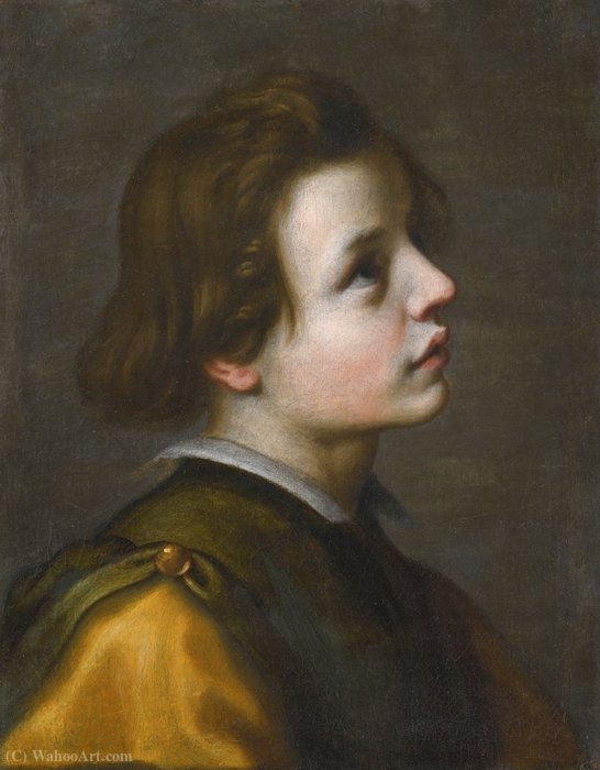 Head Of A Youth — Francesco Curradi