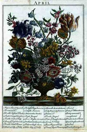 April, From 'the Flower Garden Displayed' By Robert. — Pieter Casteels Iii