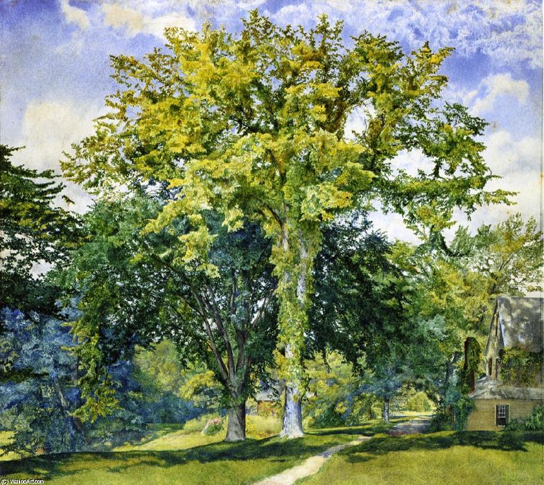 Study Of Elms — Henry Roderick Newman