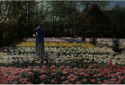 Tulip Culture — George Hitchcock