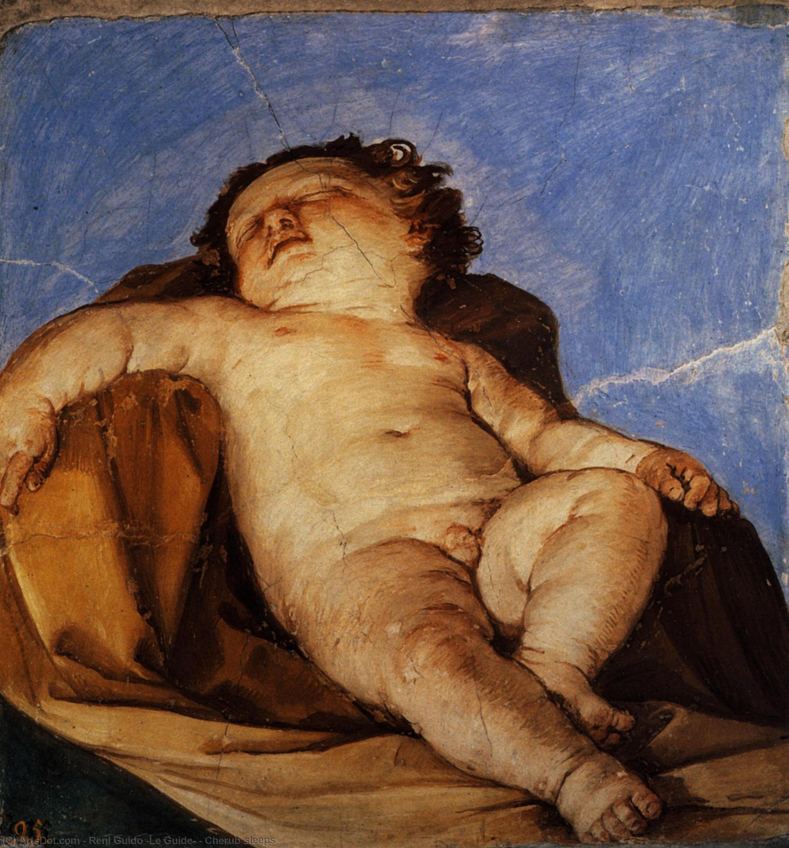 Cherub Sleeps — Reni Guido (le Guide)