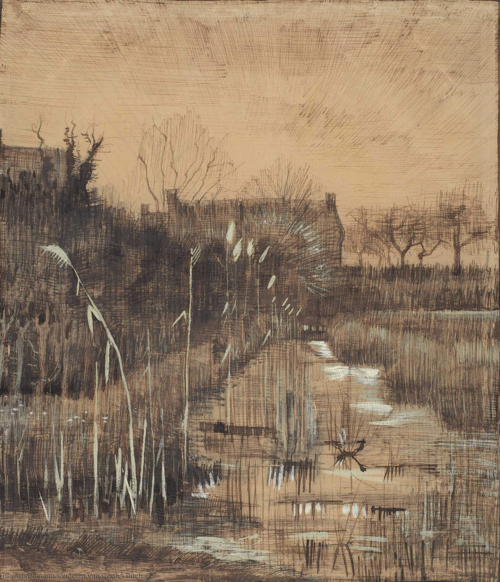 Ditch — Vincent Willem Van Gogh