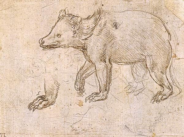 Studies Of A Bewalking — Leonardo Da Vinci