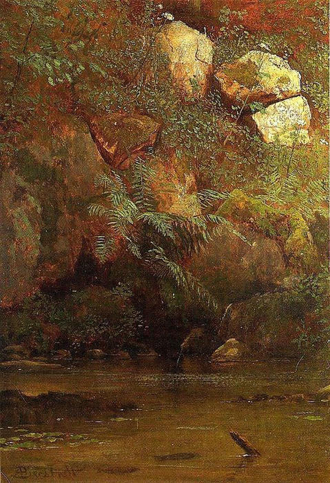 Ferns And Rocks On An Embankment — Albert Bierstadt