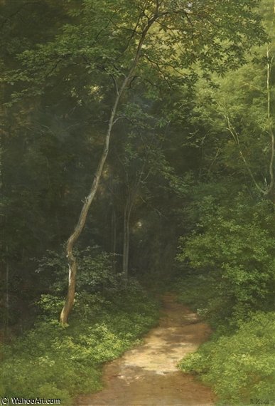 Waldweg Forest Track — Robert Zund