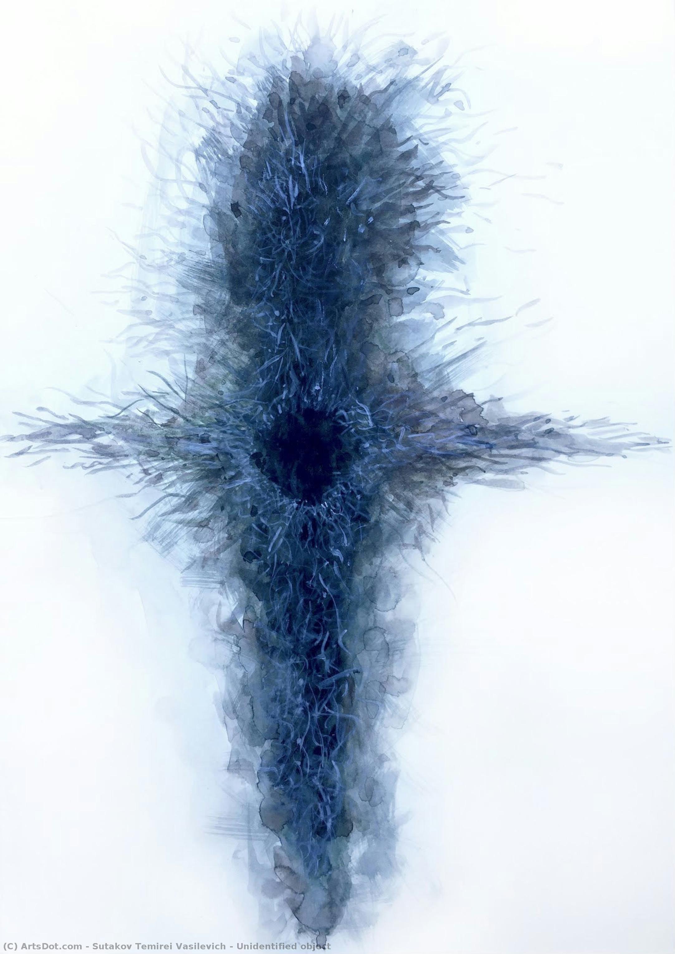 Unidentified Object — Sutakov Temirei Vasilevich