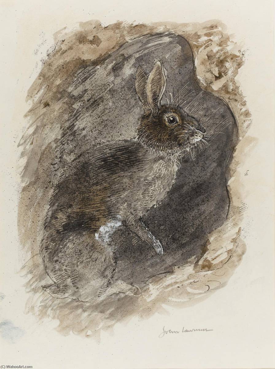 Rabbit — John Lawrence