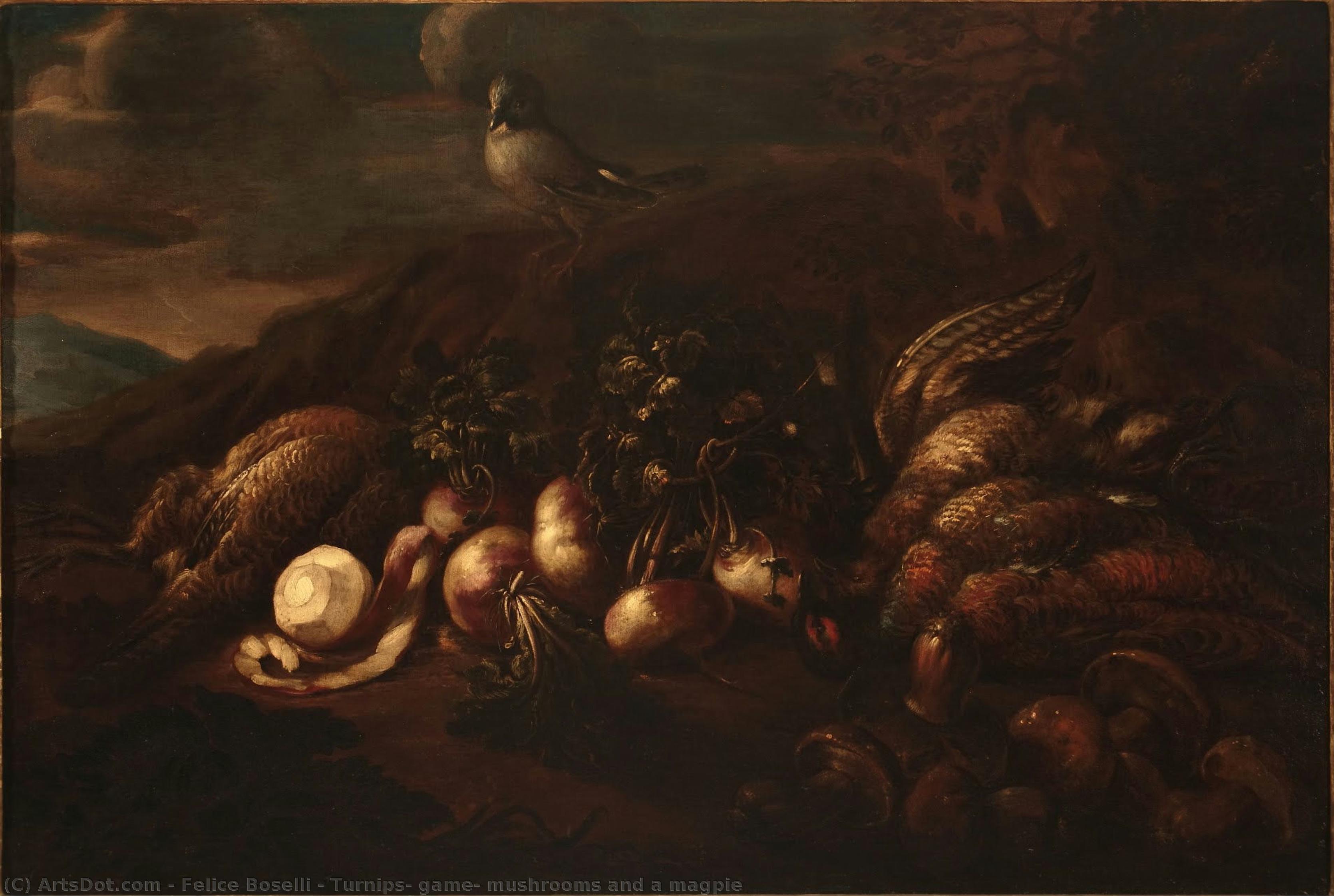 Turnips, Game, Mushrooms And A Magpie — Felice Boselli